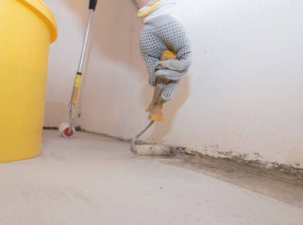 Best Termite Inspection and Treatment  in Borden, IN